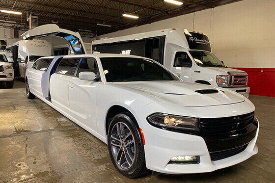 10 passenger limo st paul