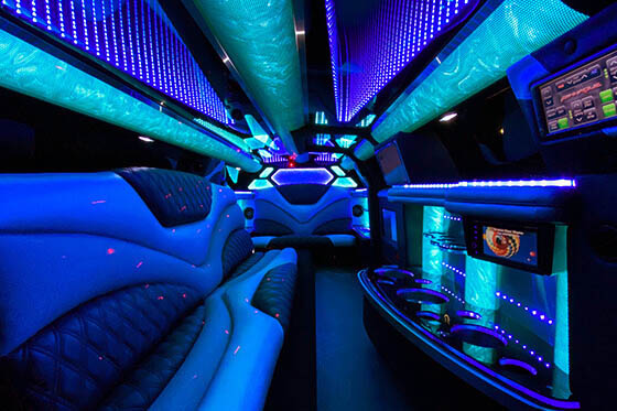 10 passenger limousine