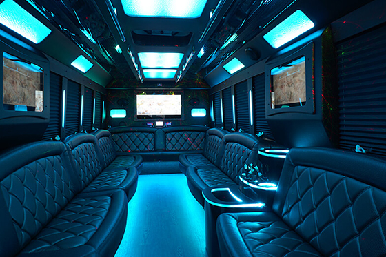 30 passenger party bus