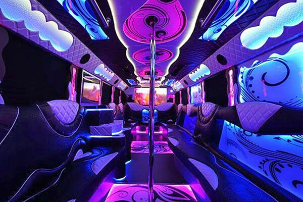 Minneapolis & St Paul Fun Party Bus & limo Company With A Professional Driver Transportation
